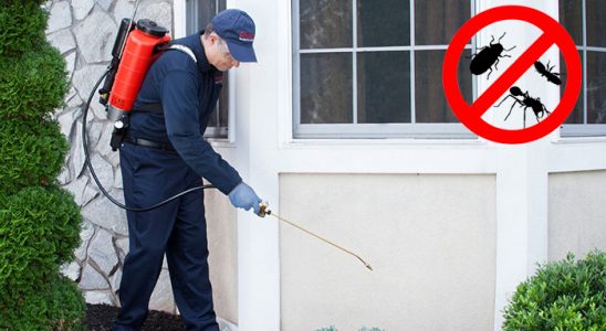 Harmancık Hamam Böceği İlaçlama böcek ilaçlama ve haşere kontrolü — ilaclama-tr.com